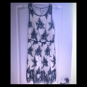 Sophie Max Floral Stretch Lace Dress